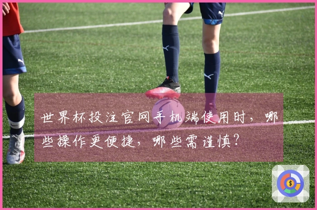 世界杯投注官网手机端使用时，哪些操作更便捷，哪些需谨慎？