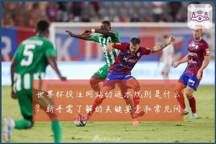 世界杯投注网站的返水规则是什么？新手需了解的关键要素和常见问题解析