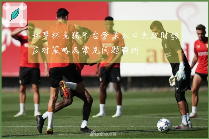 世界杯竞猜平台登录入口失效时的应对策略及常见问题解析