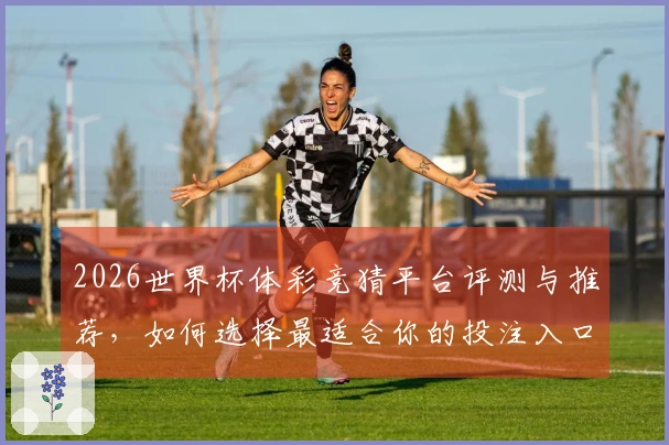 2026世界杯体彩竞猜平台评测与推荐，如何选择最适合你的投注入口？