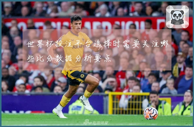 世界杯投注平台选择时需要关注哪些比分数据分析要点