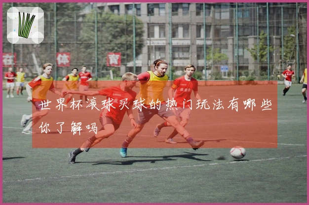 世界杯滚球买球的热门玩法有哪些你了解吗