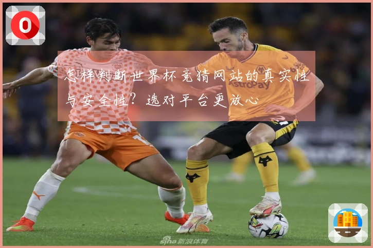 怎样判断世界杯竞猜网站的真实性与安全性？选对平台更放心