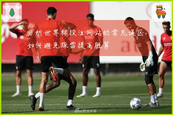 分析世界杯投注网站的常见误区,如何避免踩雷提高胜算