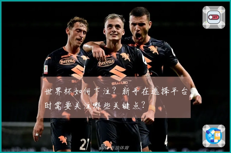 世界杯如何下注？新手在选择平台时需要关注哪些关键点？