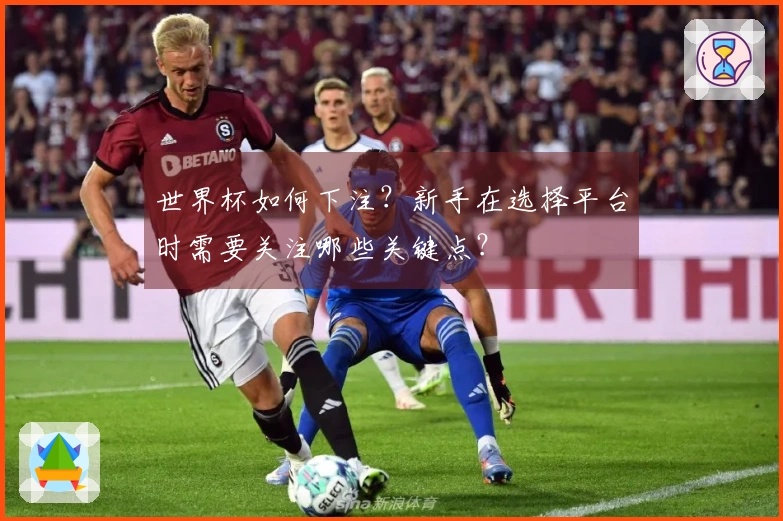 世界杯如何下注？新手在选择平台时需要关注哪些关键点？