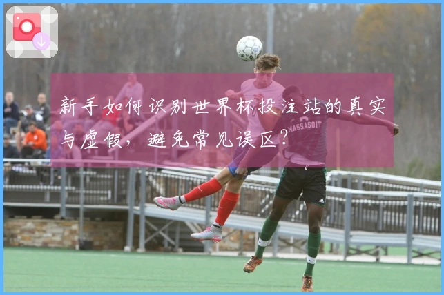 新手如何识别世界杯投注站的真实与虚假，避免常见误区？