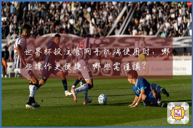 世界杯投注官网手机端使用时，哪些操作更便捷，哪些需谨慎？