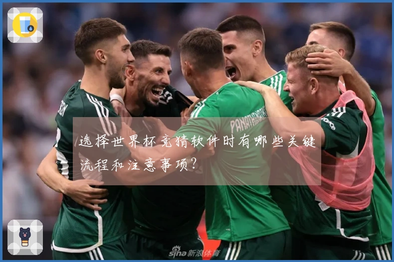 选择世界杯竞猜软件时有哪些关键流程和注意事项？