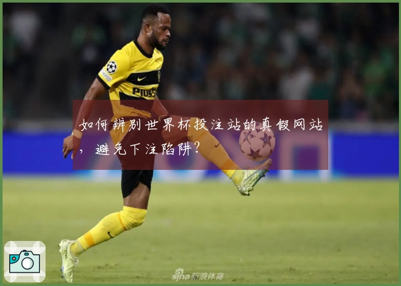 如何辨别世界杯投注站的真假网站，避免下注陷阱？