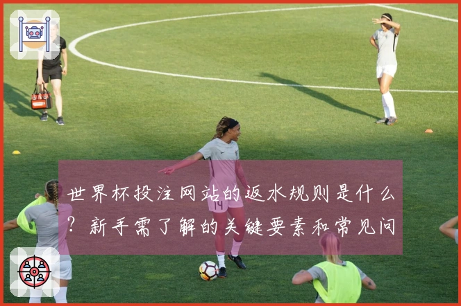 世界杯投注网站的返水规则是什么？新手需了解的关键要素和常见问题解析