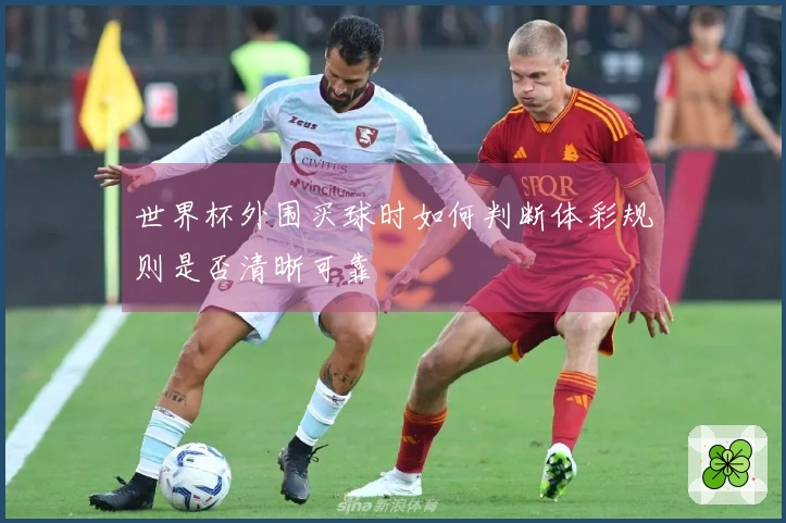 世界杯外围买球时如何判断体彩规则是否清晰可靠