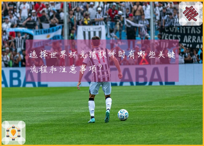 选择世界杯竞猜软件时有哪些关键流程和注意事项？